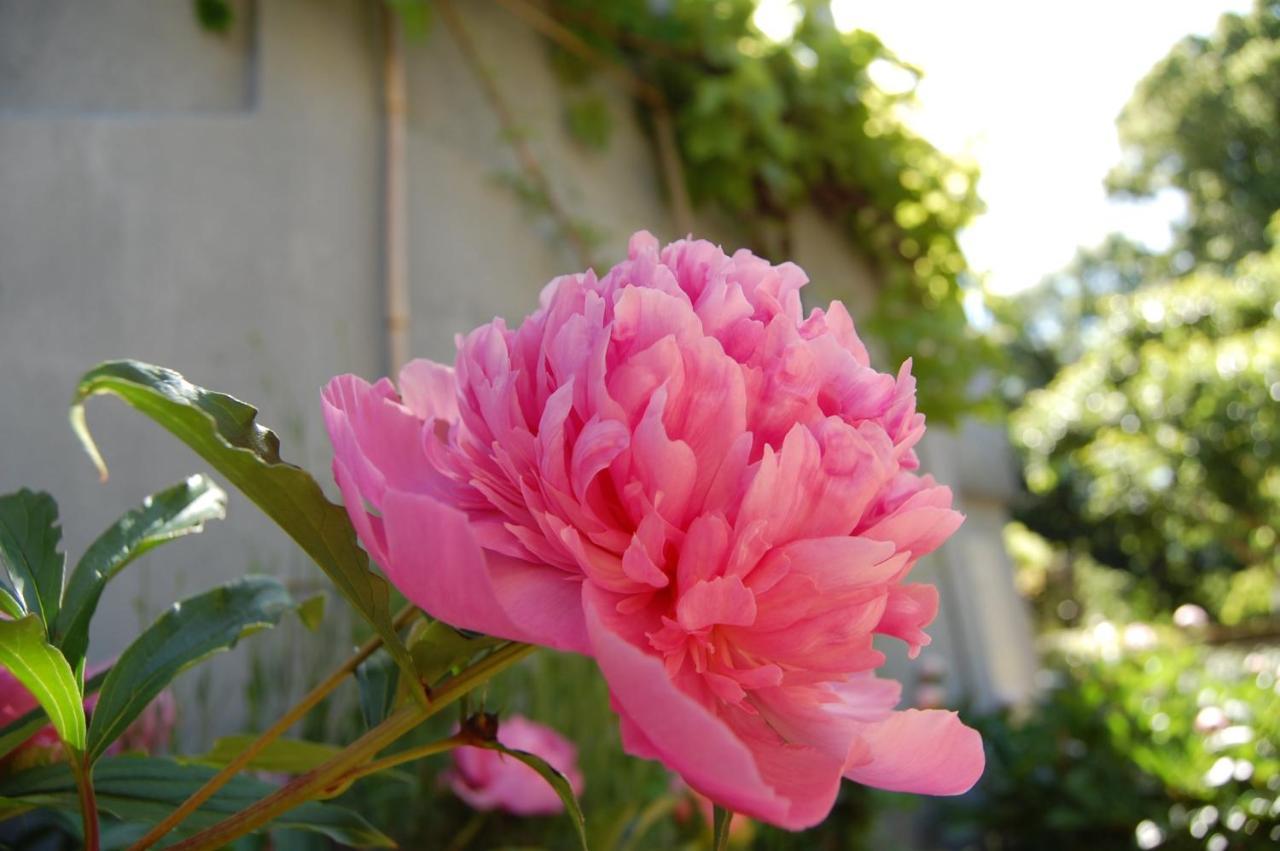 A L'Oree Du Parc Bed & Breakfast Besancon Luaran gambar